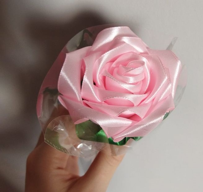 candy pink rose