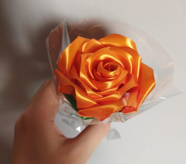 orange rose