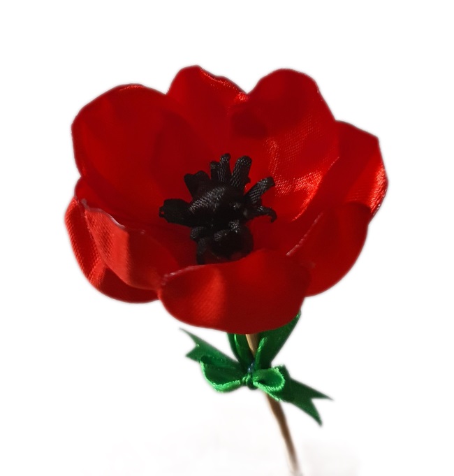 red poppy