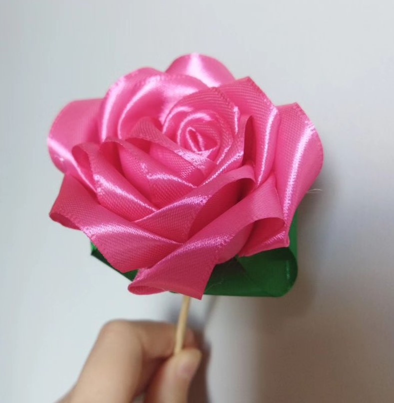 rose pink rose