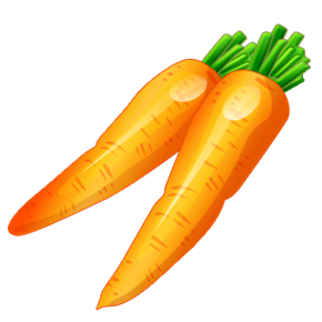 carrot